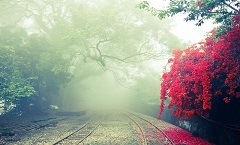 濮阳凝芙土建有限公司